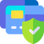 Payment Options and Security